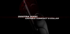 Scopri di più sull'articolo 200C