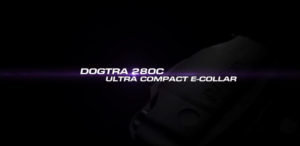 Scopri di più sull'articolo 280C