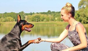 Scopri di più sull'articolo 3 motivi per scegliere un collare elettronico per addestrare il tuo cane