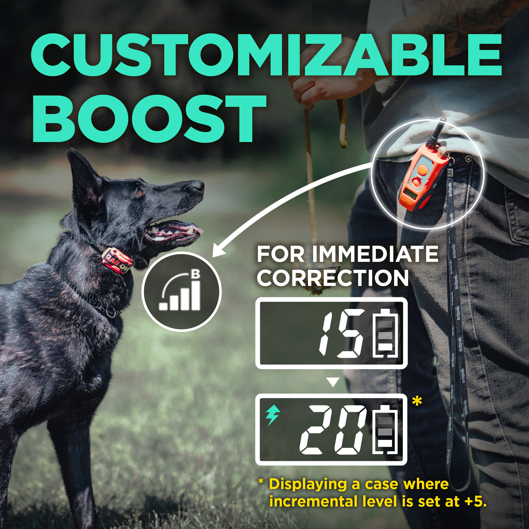 Dispositivo di localizzazione per cani 640C TOM DAVIS EDITION - immagine 5